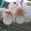 희현농장 이미지