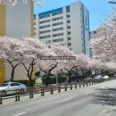 (주)삼익