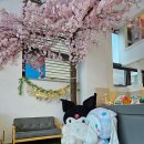 충북중앙키즈 네이버블로그