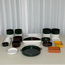 오덴세 | 🏠신혼집 l 신혼식기 오덴세 레고트 4인조 21p구매후기 (불량품 불만, 가격비교)