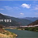섬진강 티스토리
