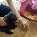 명품장터국밥 이미지