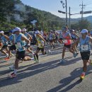 꼬부랑길 이미지