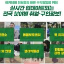 반려동물행동교정사 이미지