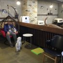 바비 PC 카페 이미지