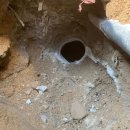 코아&2060 이미지