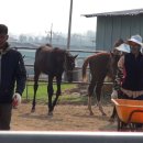 화음목장 이미지