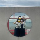 바다나라식당 | 가족여행 2024 무더위 추석 서해 바다 캠핑 조만간식당/왐왐커피/나라펜션캠핑장/유리섬박물관 후기