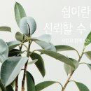 해피케어(평택·안성) 이미지