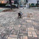 동안유치원 이미지