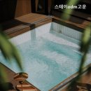 스테이odm고운 이미지