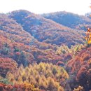 북상면사무소 | 봄에 산철쭉 가을 단풍이 아름다운 (거창 월성계곡)