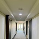 신신호텔 제주오션 | 서귀포 가성비 호텔 추천! 신신호텔 제주오션 솔직 방문후기