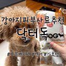 닥터로나 | 강아지피부사료추천 닥터독 연어 오븐베이크 사료 후기