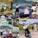 뽕이네 티브이데일리