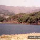 상동1교 이미지