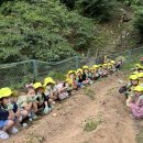 🥔 쁘띠텃밭 유기농 감자를 수확해요! 🥔 이미지