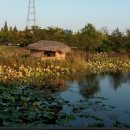 드림랜드 이미지