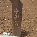 구사골 이미지