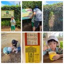 민규농장 이미지