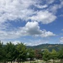 이인초봉한우농장 | 춘천 다양한 동물 체험 가능한 뷰맛집 해피초원목장