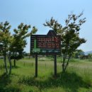 도화버스공용터미널 이미지