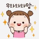 헤이븐(haven) 이미지