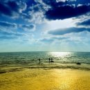 바닷가 풍경 이미지