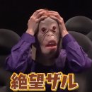 아카바네 호네코의 보디가드 후기