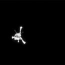로제타(Rosetta)