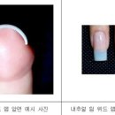 보노네일 - 김포시 | 보노네일
