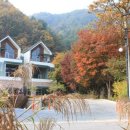 더웰니스펜션 이미지