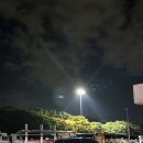 대전-청주 데이트 태평소국밥,성심당,청주동물원 주말 주차 웨이팅 후기