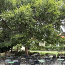 태양의바디스토리 | [제주 여행] 제주 인생 커피 발견! 친절함에 두 번 반한 &#34;커피템플&#34;