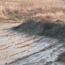 답내1리 이미지