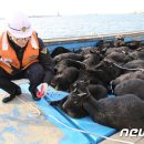 무인57 이미지