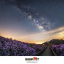 별밤 이미지
