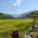 화개중학교 이미지