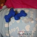 개뼈다구 이미지