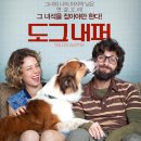 그린도그 이미지