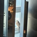 골드웨이브 경북도청점 이미지