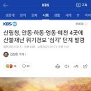 산림청, 안동·하동·영동·예천 4곳에 산불 경보 ‘심각’ 단계 발령 이미지