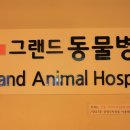 그랜드동물병원 이미지