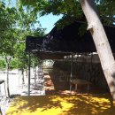 전주상회 이미지