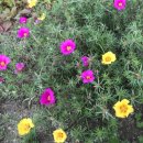 바른빛에너지 이미지