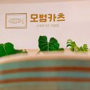 모범카츠