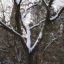 이고이즘 이미지