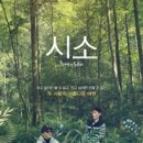 시소 이미지