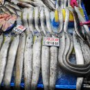 군산수산물종합센터 이미지