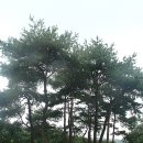 도농목장 이미지